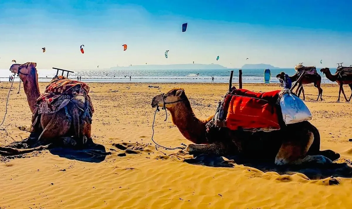 Relaxing Experience In Essaouira-Villa Olive 0*, Essaouira