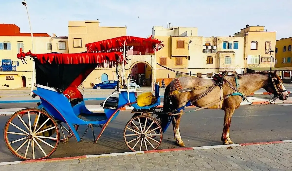 Relaxing Experience In Essaouira-Villa Olive Villa